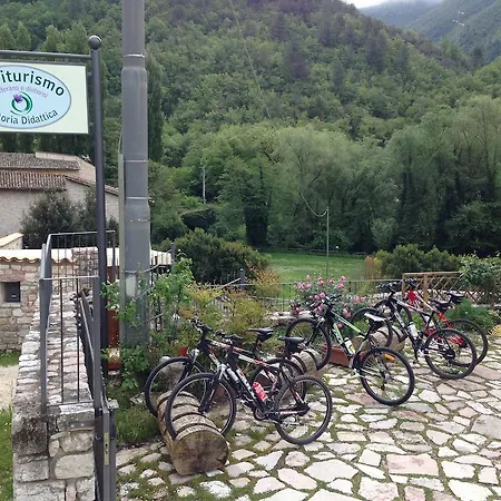 Zafferano E Dintorni