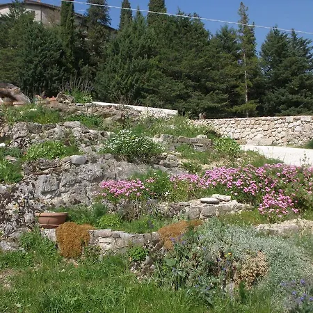 Zafferano E Dintorni