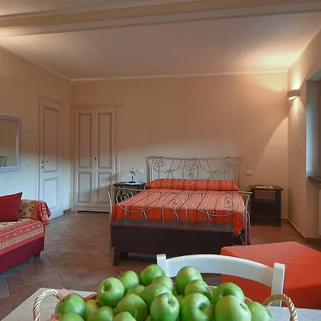 Zafferano E Dintorni SantʼAnatolia di Narco